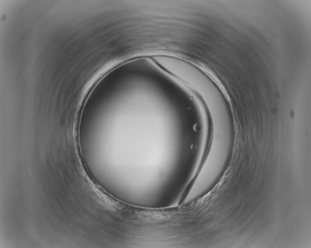 X0000081561197200702051141