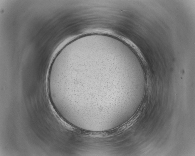 X0000081561199200702051141