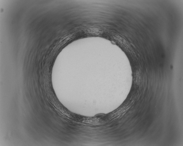 X0000081561201200702051140