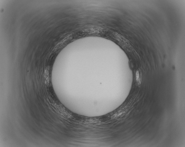 X0000081561203200702051140