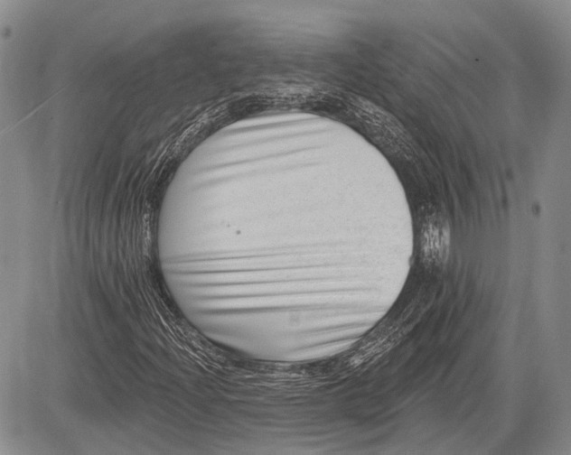 X0000081561204200702051140