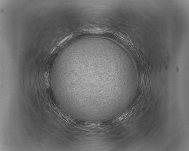 X0000081561205200702051140