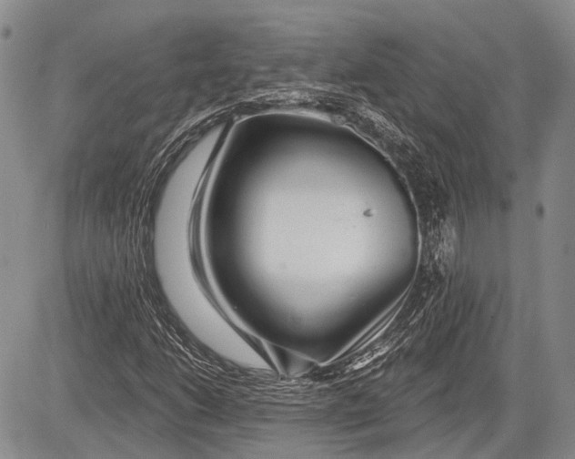 X0000081561206200702051140