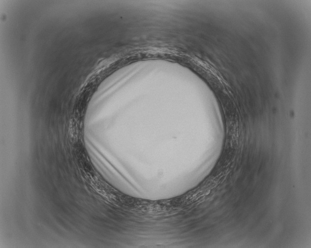 X0000081561207200702051141