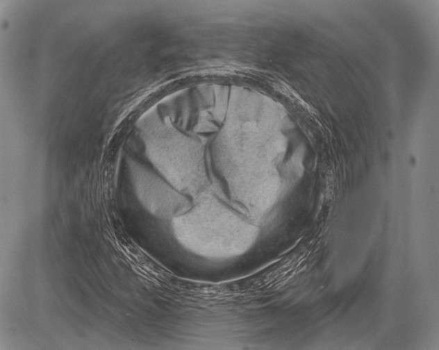 X0000081561208200702051141