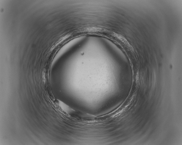 X0000081561209200702051141