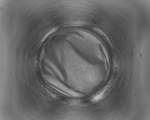 X0000081561210200702051141