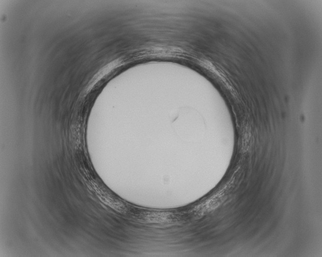 X0000081561211200702051141