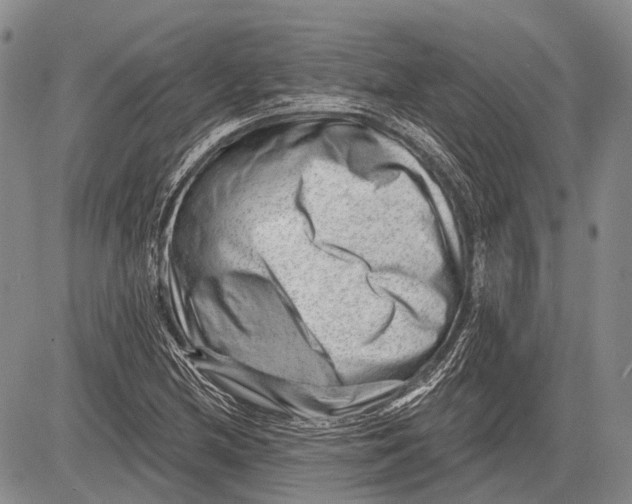 X0000081561212200702051141