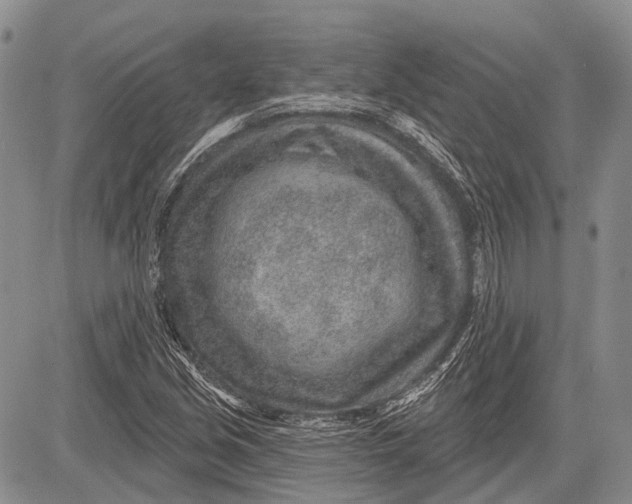 X0000081561213200702051141