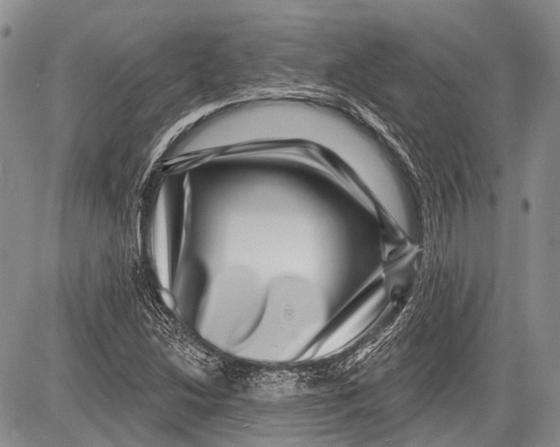 X0000081561214200702051141