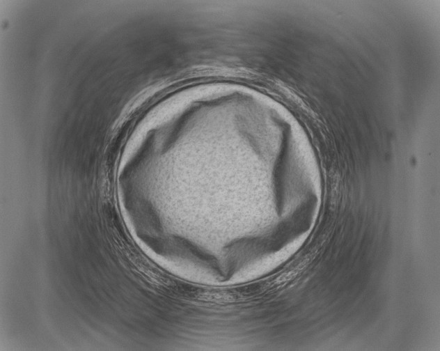 X0000081561215200702051141