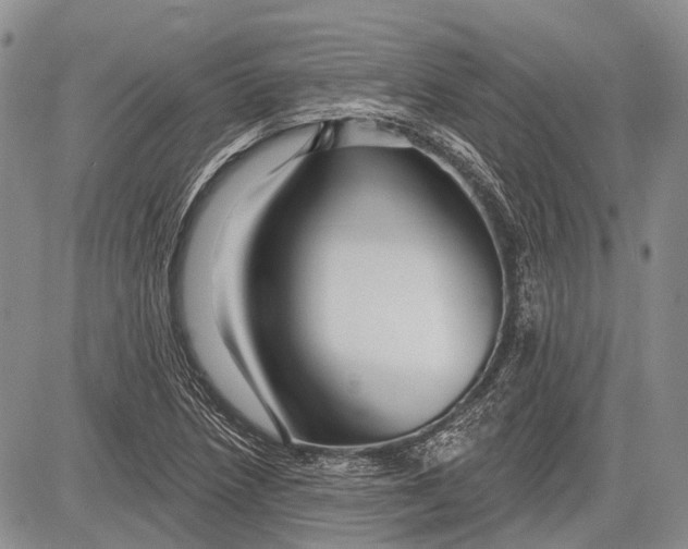 X0000081561218200702051141