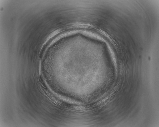 X0000081561219200702051141