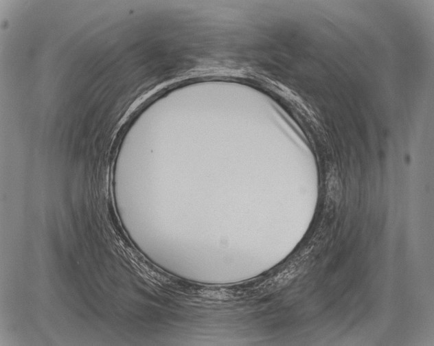 X0000081561220200702051141