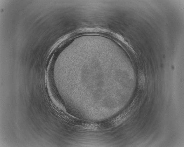 X0000081561221200702051141