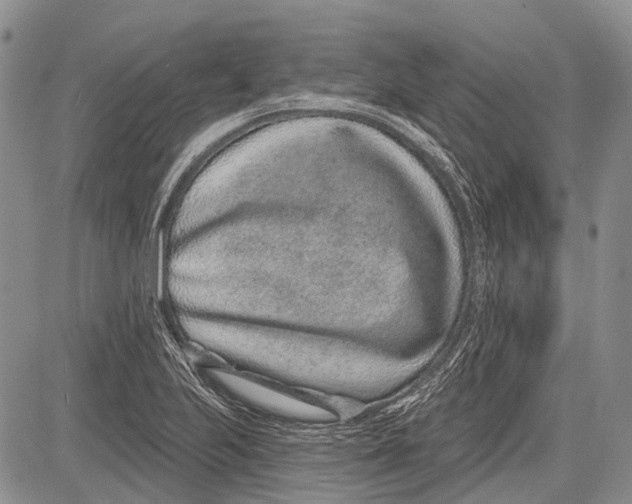 X0000081561223200702051141