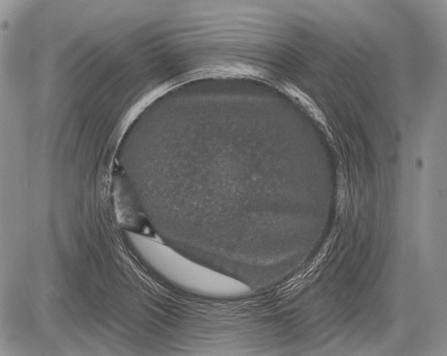 X0000081561226200702051141