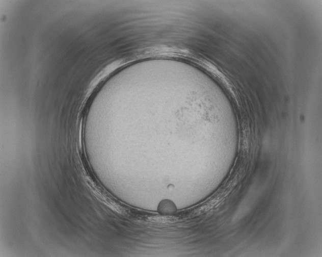 X0000081561227200702051141