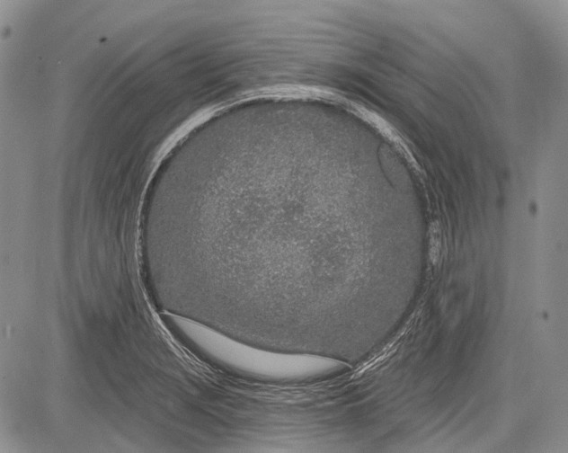 X0000081561229200702051141