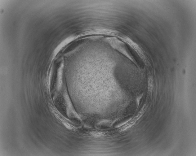 X0000081561230200702051141