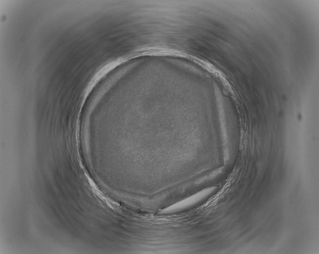 X0000081561231200702051141