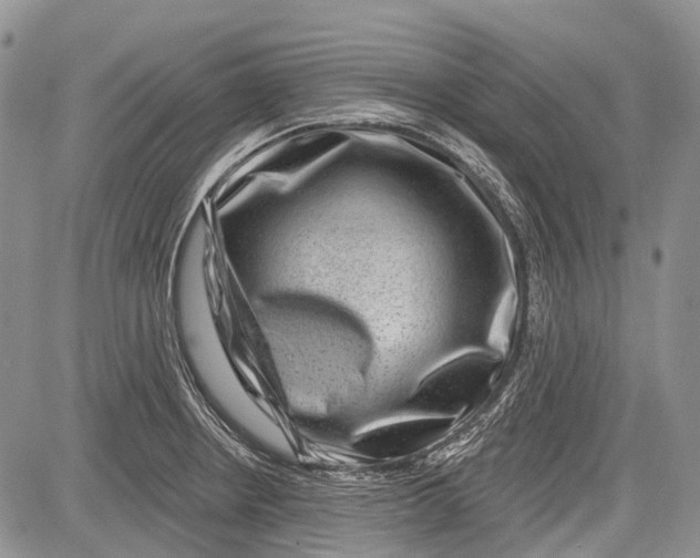 X0000081561234200702051141