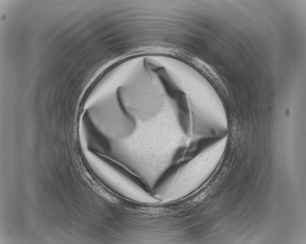 X0000081561236200702051141