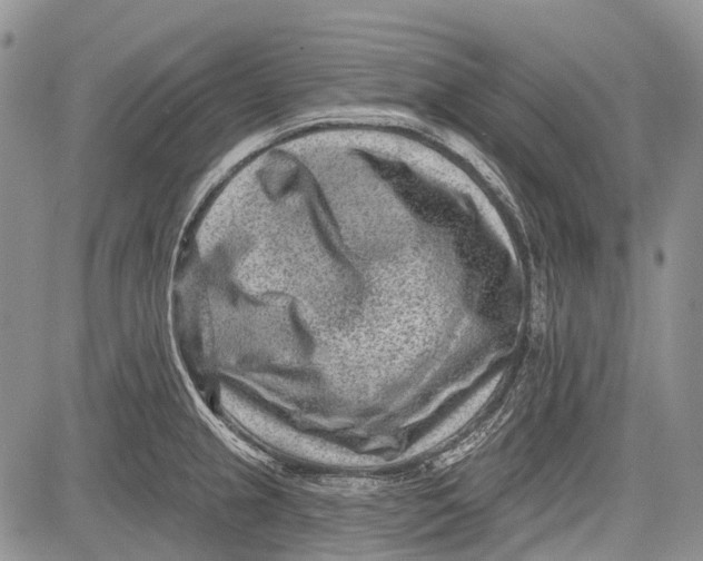 X0000081561237200702051141