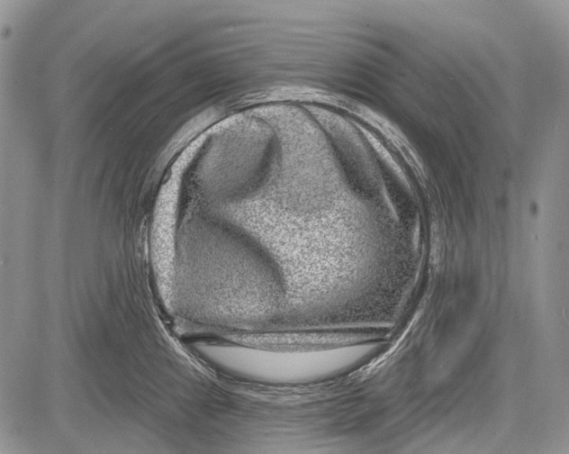 X0000081561241200702051141