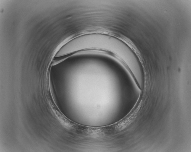 X0000081561242200702051141