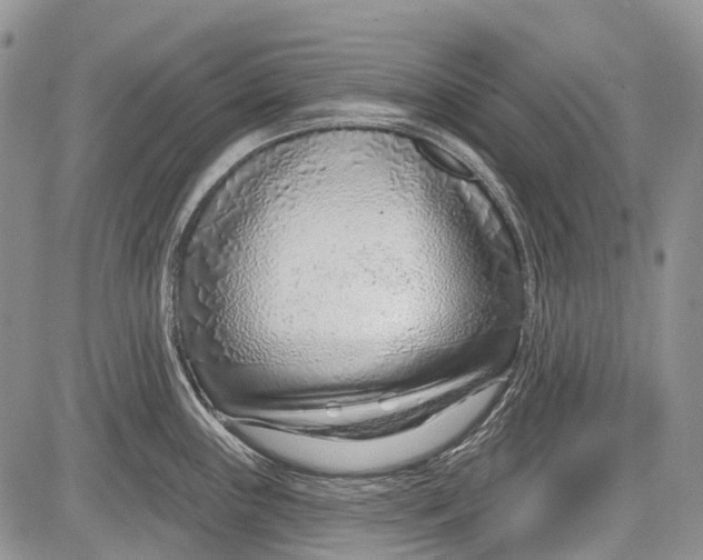 X0000081561243200702051141