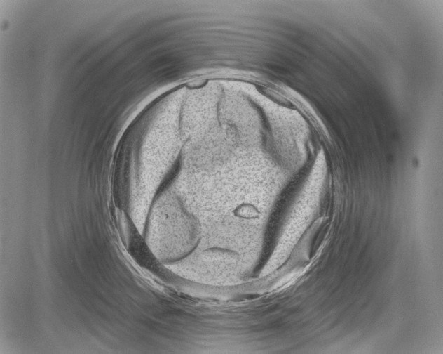 X0000081561244200702051141