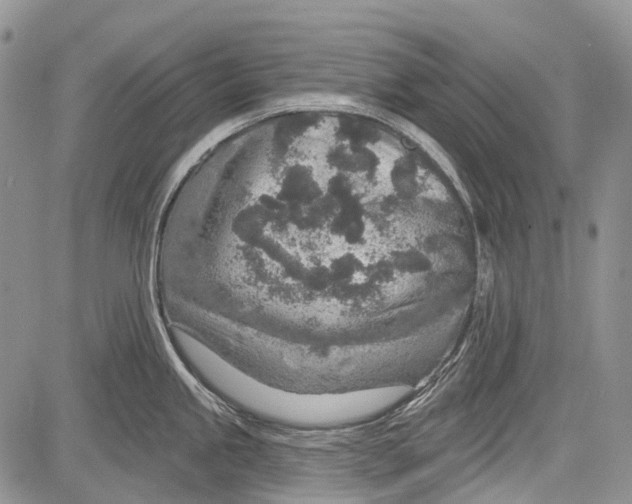 X0000081561245200702051141