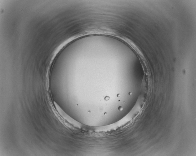 X0000081561246200702051141