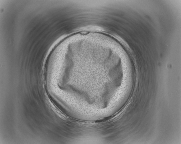 X0000081561248200702051141