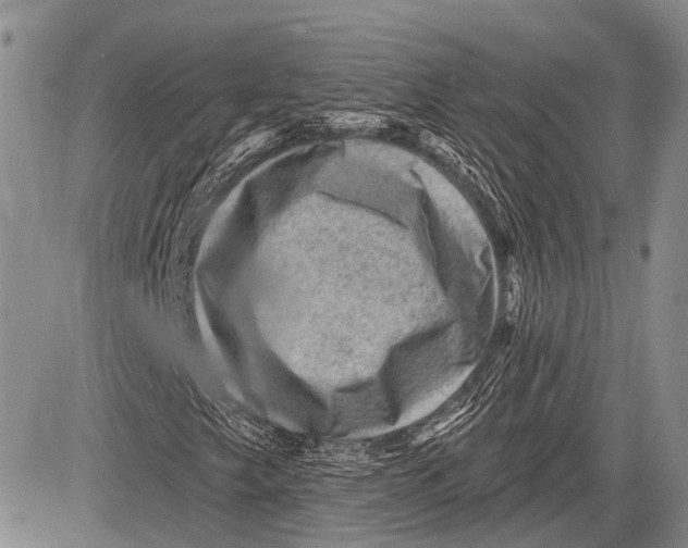 X0000081561249200702051140