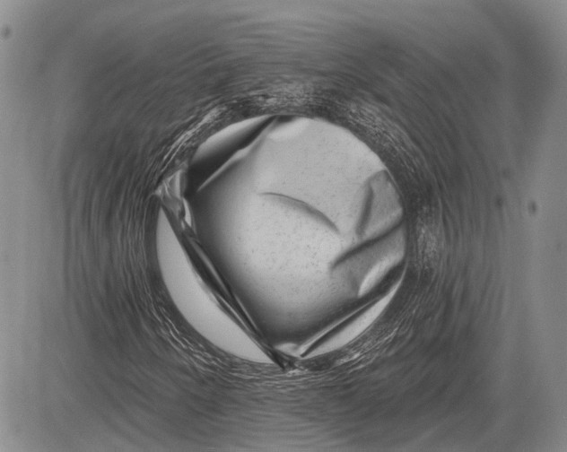 X0000081561250200702051140