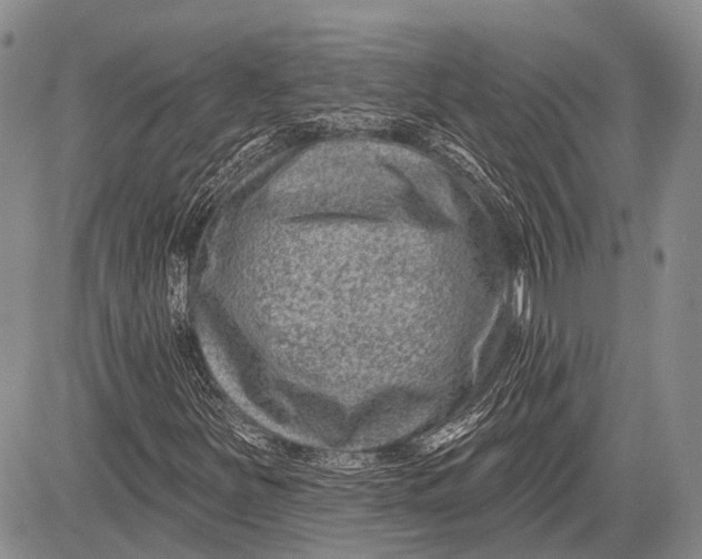 X0000081561251200702051140