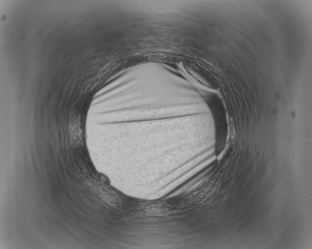 X0000081561252200702051140