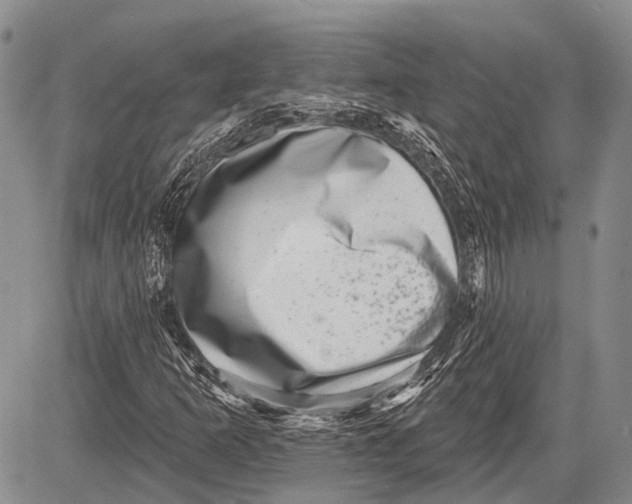 X0000081561253200702051140