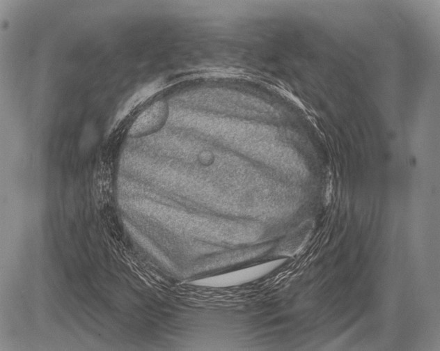 X0000081561255200702051140