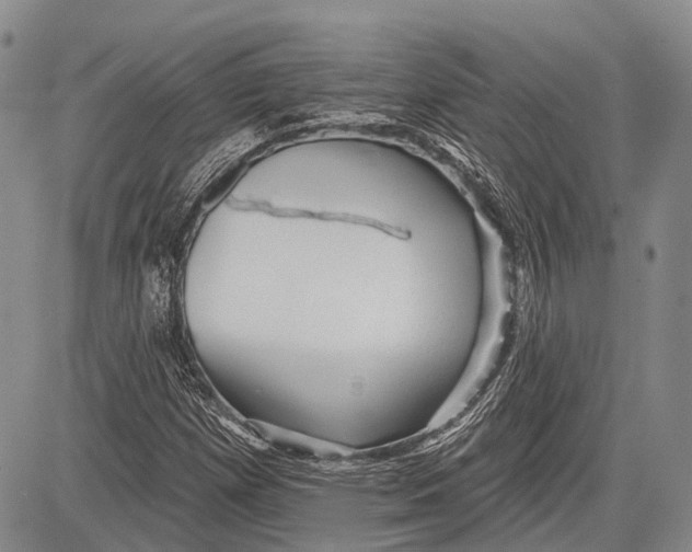 X0000081561257200702051140