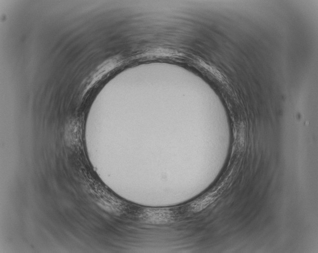 X0000081561258200702051140