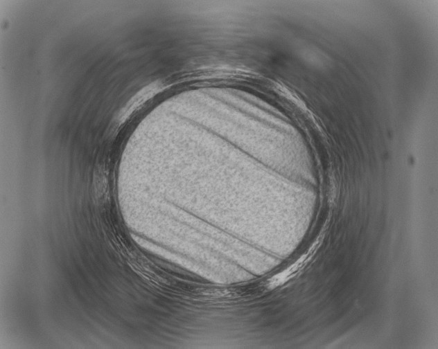 X0000081561259200702051140