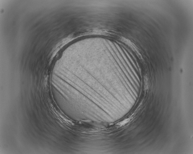 X0000081561260200702051140