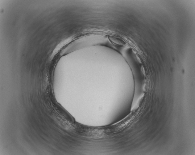 X0000081561261200702051140