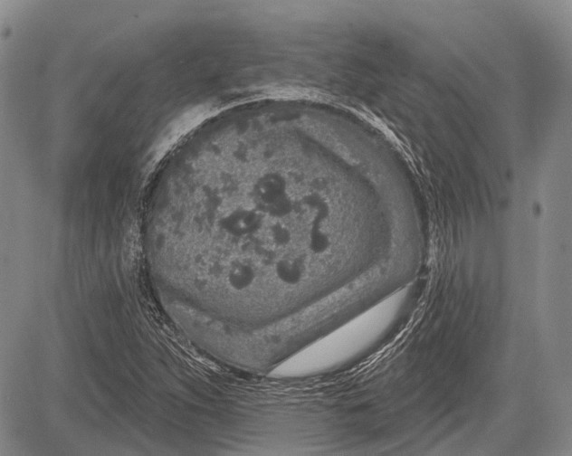 X0000081561263200702051140