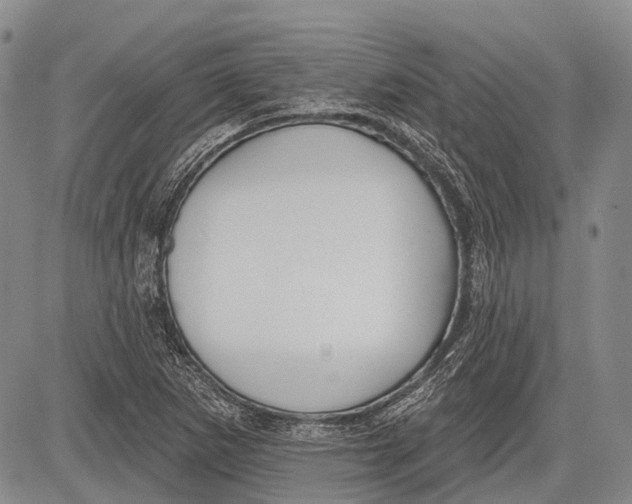 X0000081561265200702051140