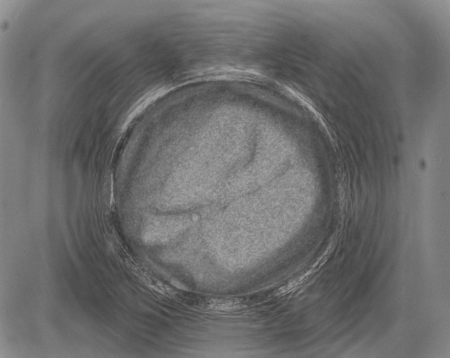 X0000081561267200702051140